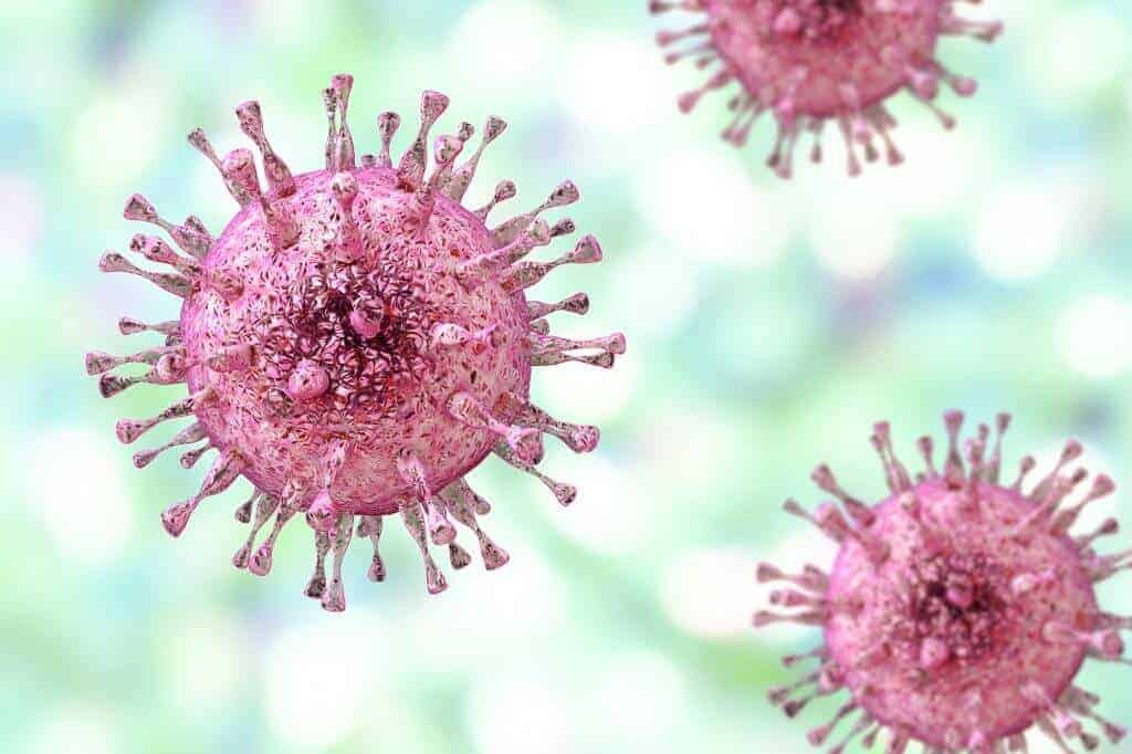 Cytomegalovirus