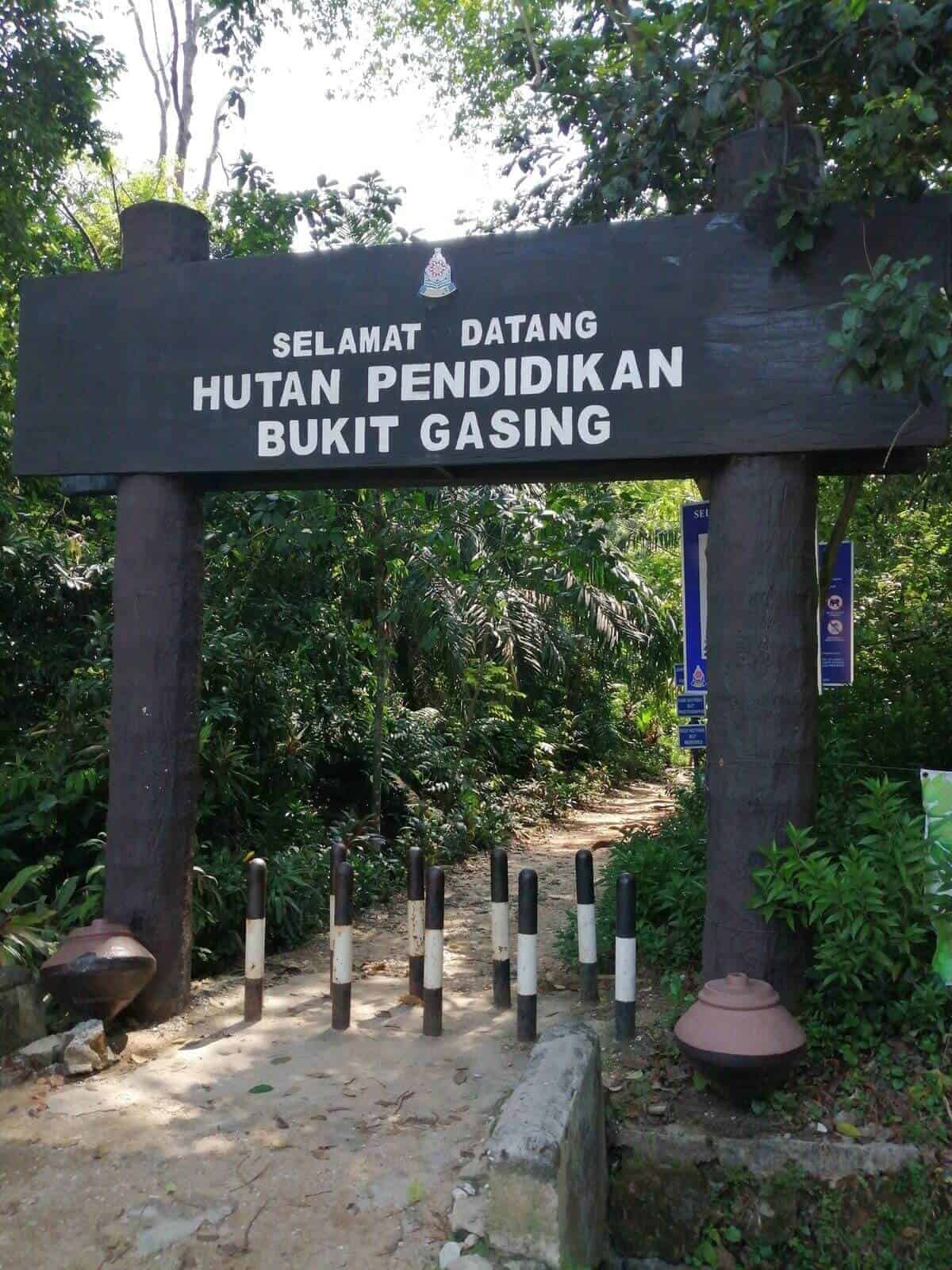 Bukit Gasing, Lokasi Hiking Di Tengah Bandar