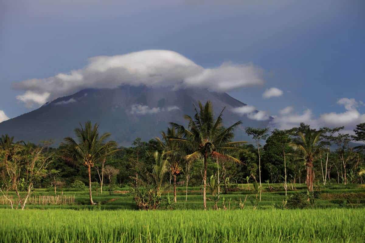 Gunung Merapi memuntahkan abunya