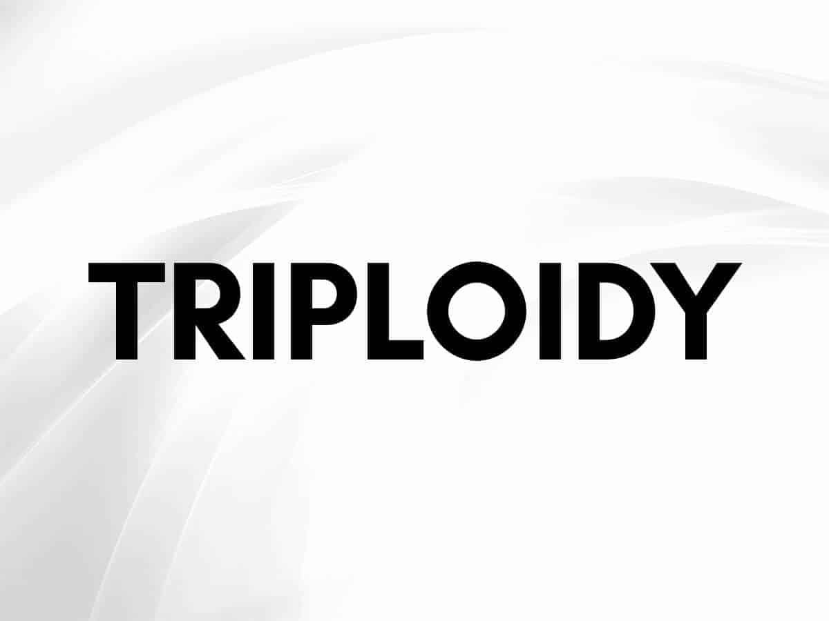 triploidy