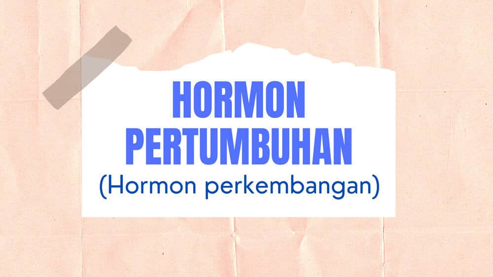 Hormon pertumbuhan