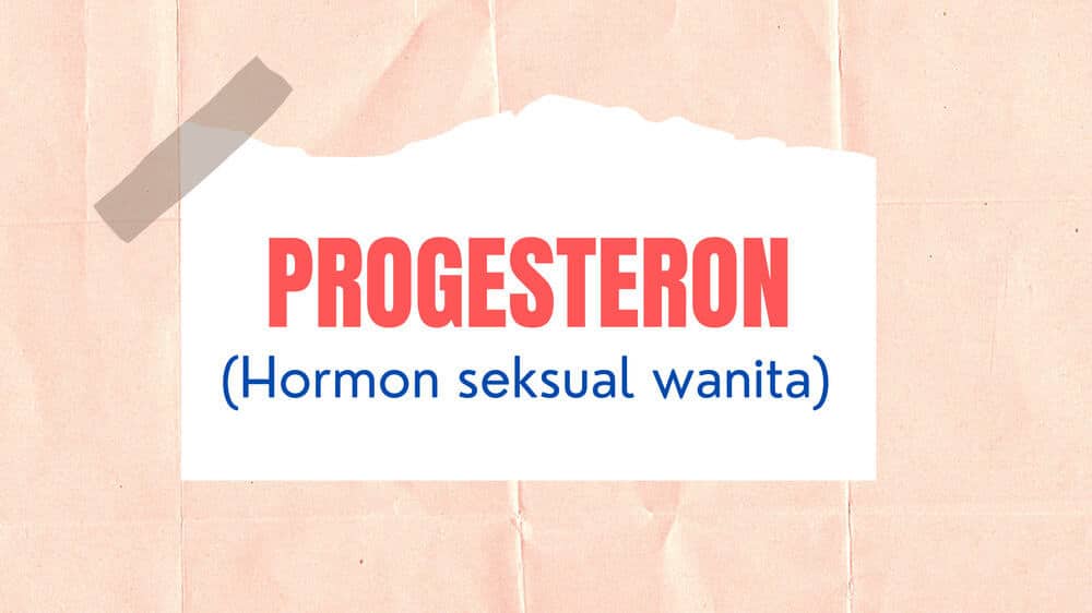 Progesteron (Progesterone)  Ceriasihat