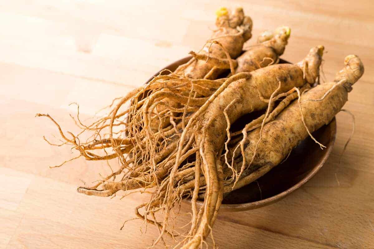 Ginseng