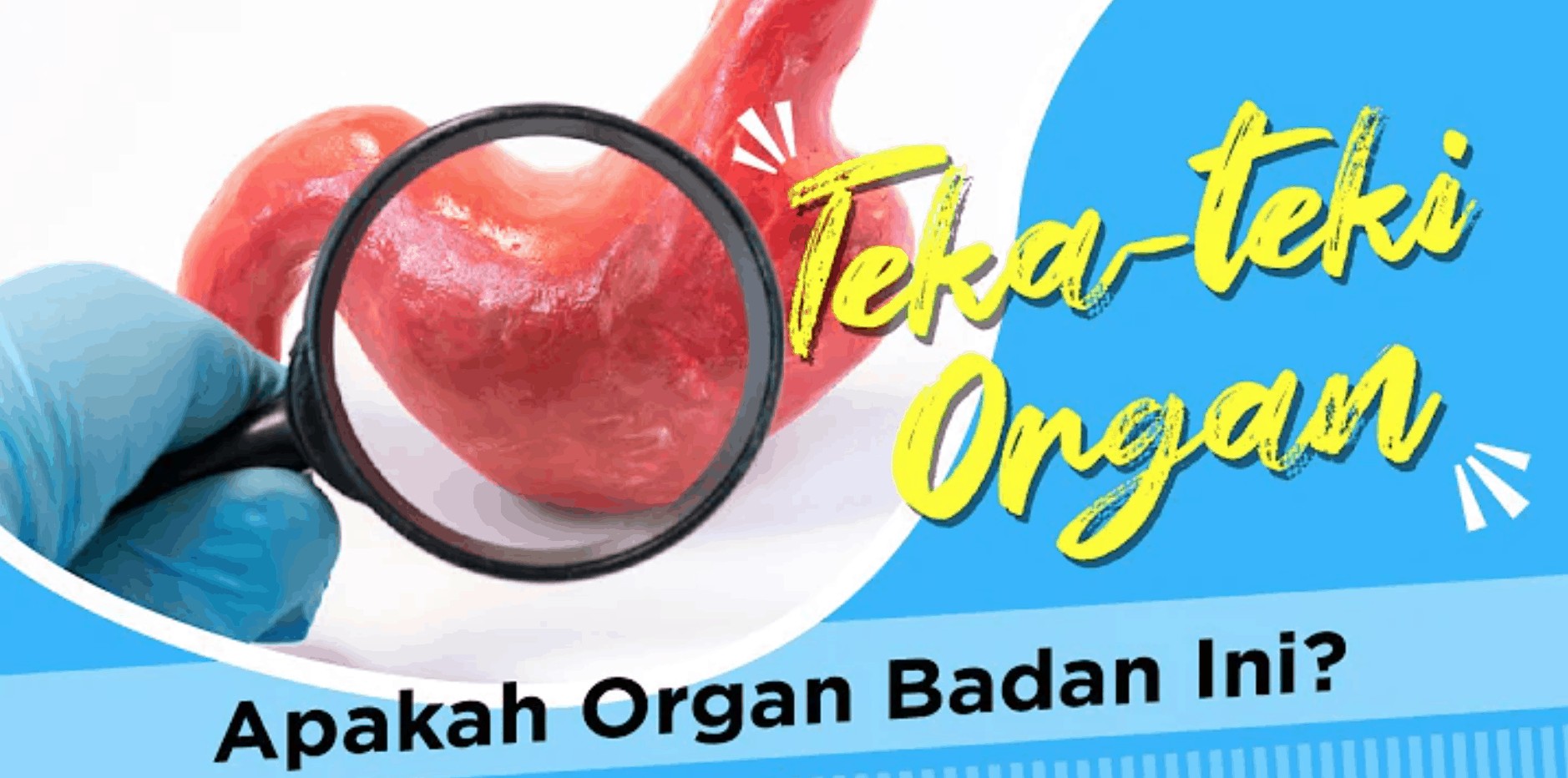 organ badan