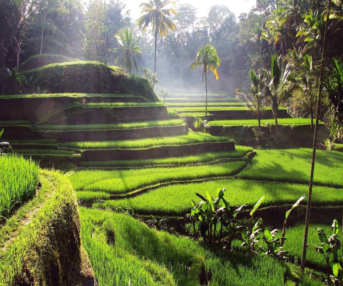 tempat menarik di Bali